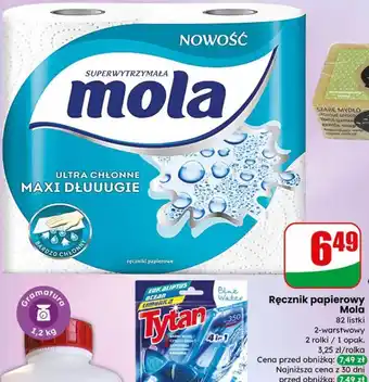 Dino Ręcznik papierowy Mola oferta