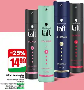 Dino Lakier do włosów Taft oferta