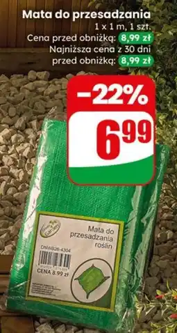 Dino Mata do przesadzania oferta