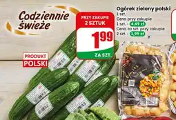 Dino Ogórek zielony polski oferta