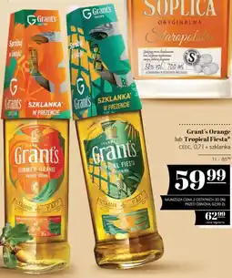 Polomarket Grant's Orange lub Tropical Fiesta oferta