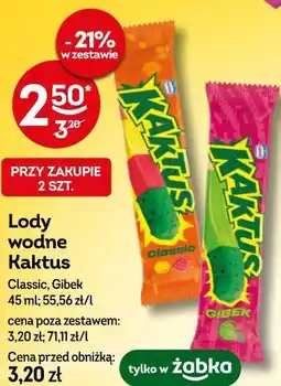 Żabka Lody wodne Kaktus oferta