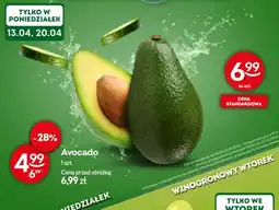 Żabka Avocado oferta