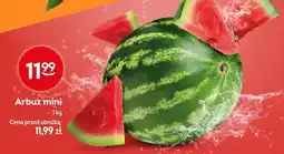 Żabka Arbuz mini oferta