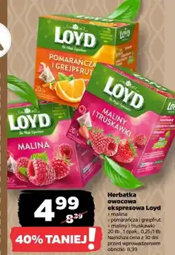 Netto Herbatka owocowa ekspresowa malina oferta