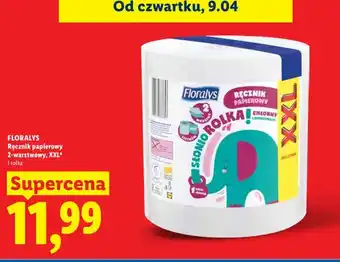 Lidl Ręcznik papierowy 2-warstwowy XXL oferta
