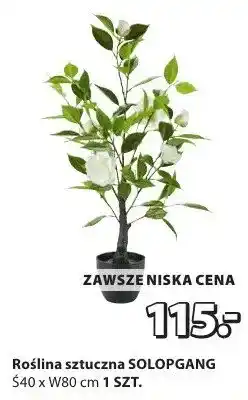 JYSK Roślina sztuczna oferta