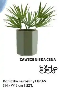 JYSK Doniczka na rośliny oferta