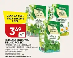 Chata Polska Herbata ziołowa zielnik polski melisa, mięta, pokrzywa, rumianek, szałwia, koper włoski oferta