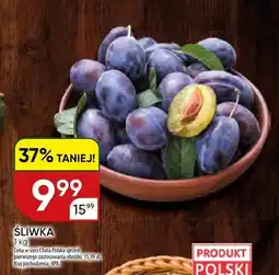 Chata Polska Śliwka oferta