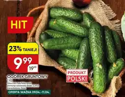 Chata Polska Ogórek gruntowy oferta