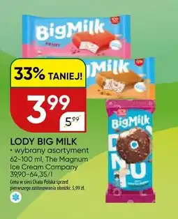 Chata Polska Lody Big Milk wybrany asortyment oferta
