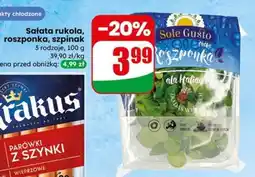 Dino Salata rukola roszponka szpinak oferta