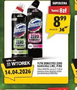 Arhelan Domestos Płyn Zero Kamienia oferta