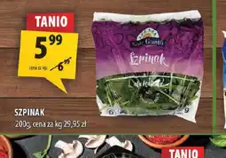 Arhelan Szpinak Sole Gusto oferta