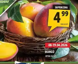 Arhelan Mango oferta