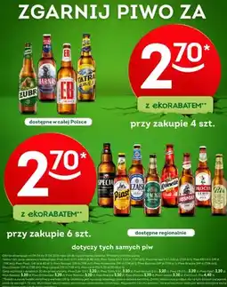 Żabka Piwo Pils oferta