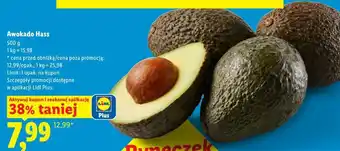 Lidl Awokado Hass oferta