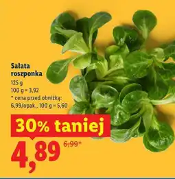 Lidl Sałata roszponka oferta