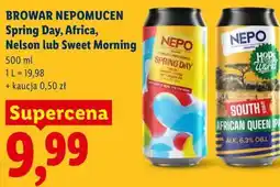 Lidl BROWAR NEPOMUCEN Spring Day, Africa, Nelson lub Sweet Morning oferta