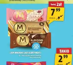 Arhelan Lody Magnum oferta