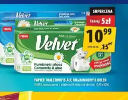 Arhelan Velvet papier toaletowy oferta