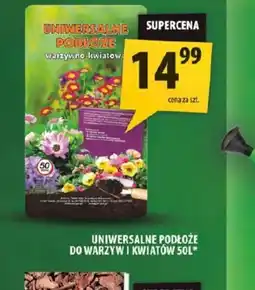 Arhelan Sol Uniwersalne podłoże oferta