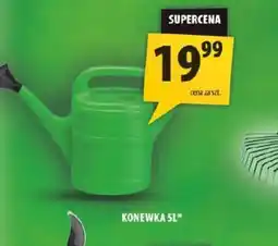 Arhelan Konewka SL oferta