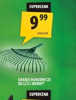 Arhelan Grabie ogrodnicze do liści Hobby oferta