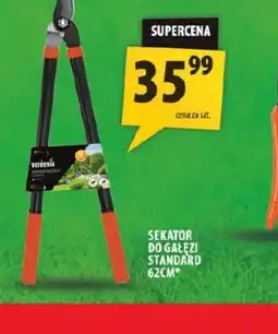Arhelan Verdenia Sekator do gałęzi oferta