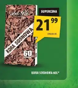 Arhelan Kora sosnowa oferta