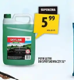 Arhelan Płyn letni do spryskiwaczy Skyline oferta