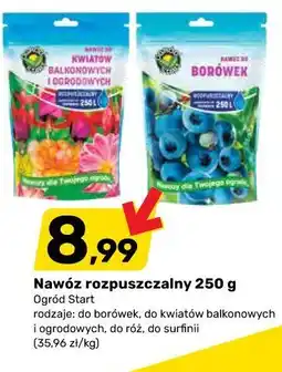 Bricomarche Nawóz rozpuszczalny 250 g Ogród Start oferta