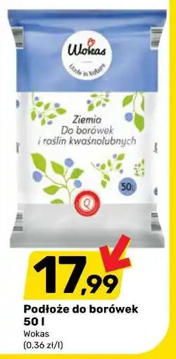 Bricomarche Podłoże do borówek 50 l Wokas oferta