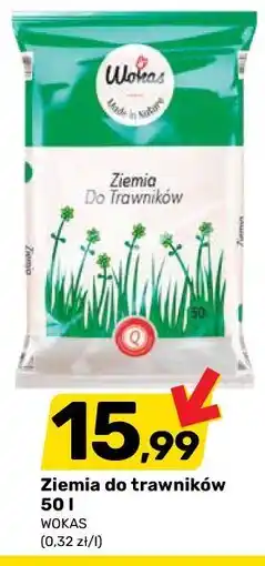 Bricomarche Ziemia do trawników 50 l WOKAS oferta