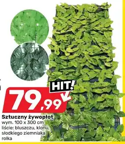 Bricomarche Sztuczny żywopłot oferta