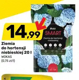 Bricomarche Ziemia do hortensji niebieskiej 20 l WOKAS oferta