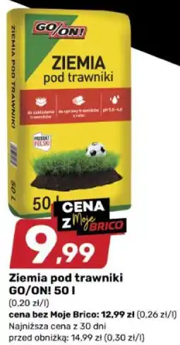 Bricomarche Ziemia pod trawniki GO/ON! oferta