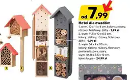 Bricomarche Hotel dla owadów oferta