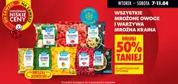 Biedronka Mrożone owoce i warzywa mroźna kraina oferta