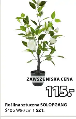 JYSK Sztuczna roślina oferta