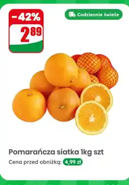 Dino Pomarańcza siatka oferta