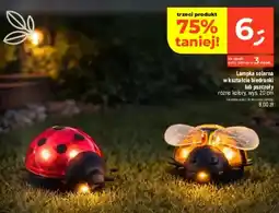 Dealz Lampka solarna w kształcie biedronki lub pszczoły różne kolory oferta