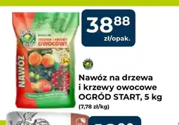 Mrówka Nawóz Ogród Start oferta
