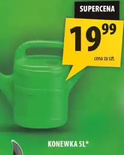 Arhelan Konewka oferta