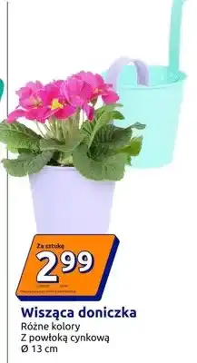 Action Wiszaca doniczka oferta