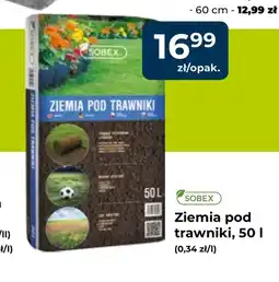Mrówka Ziemia Sobex oferta