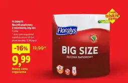 Lidl Ręcznik papierowy 2-warstwowy, big size oferta