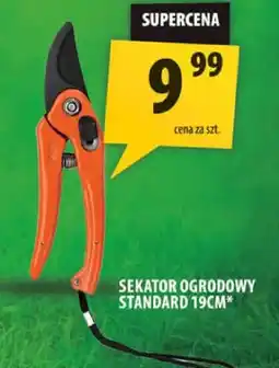 Arhelan Sekator ogrodowy standard 19cm oferta