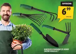 Arhelan Narzędzia ogrodnicze Hobby różne rodzaje oferta
